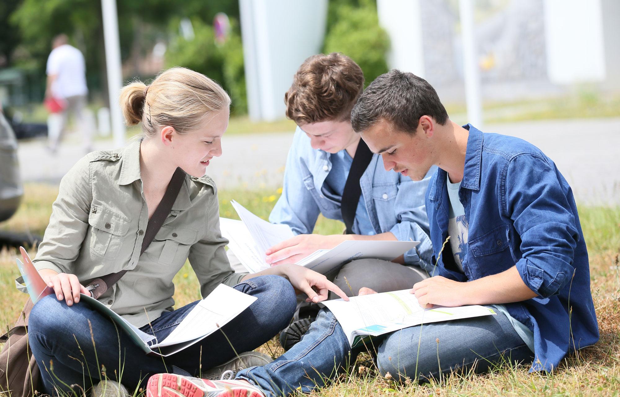 Students on a lawn studying together